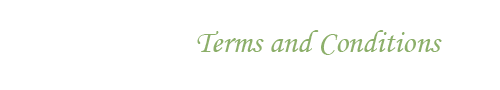 Shapwick House Terms and Conditions