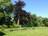 Shapwick House Grounds
